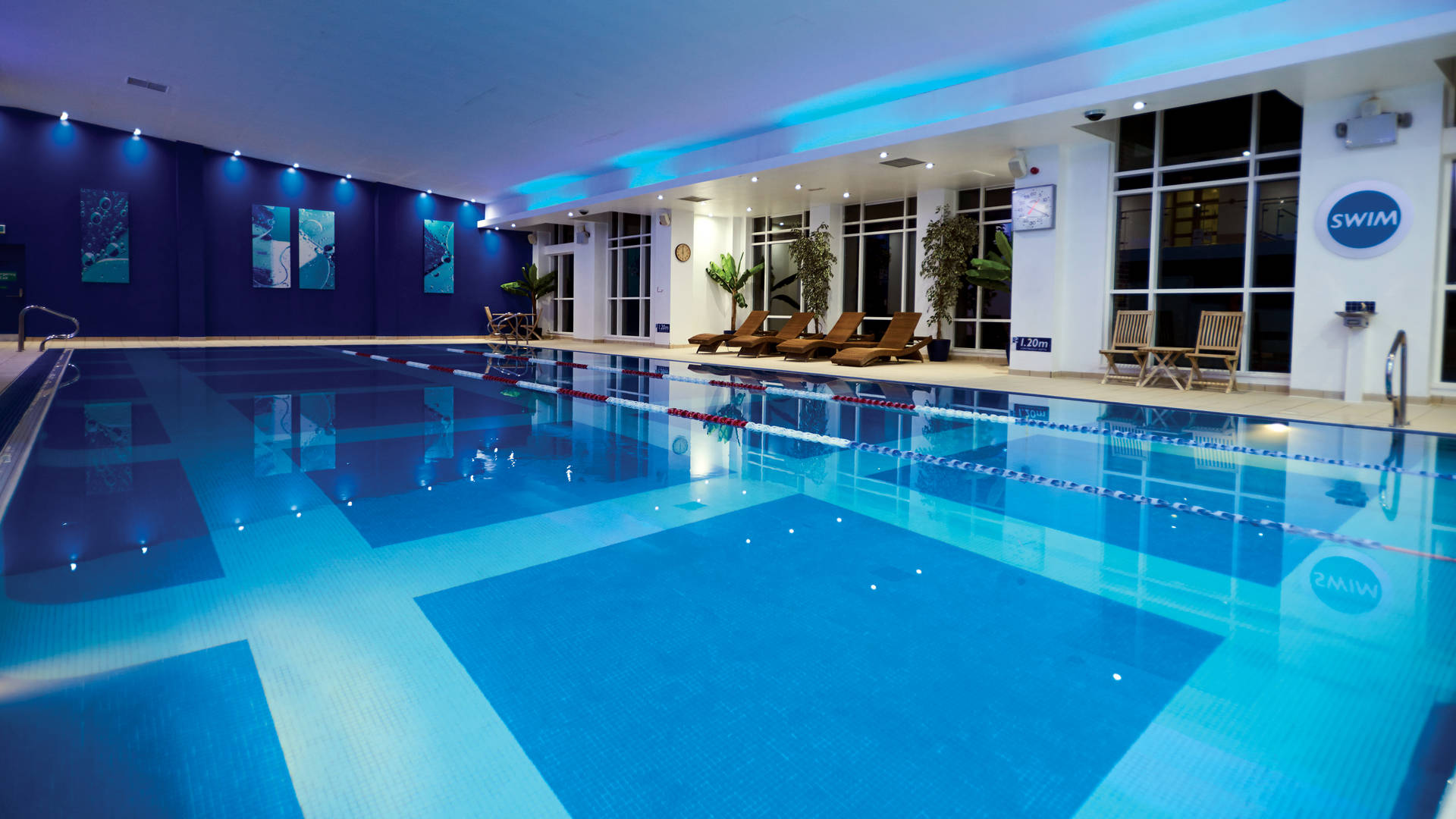 Swim Image