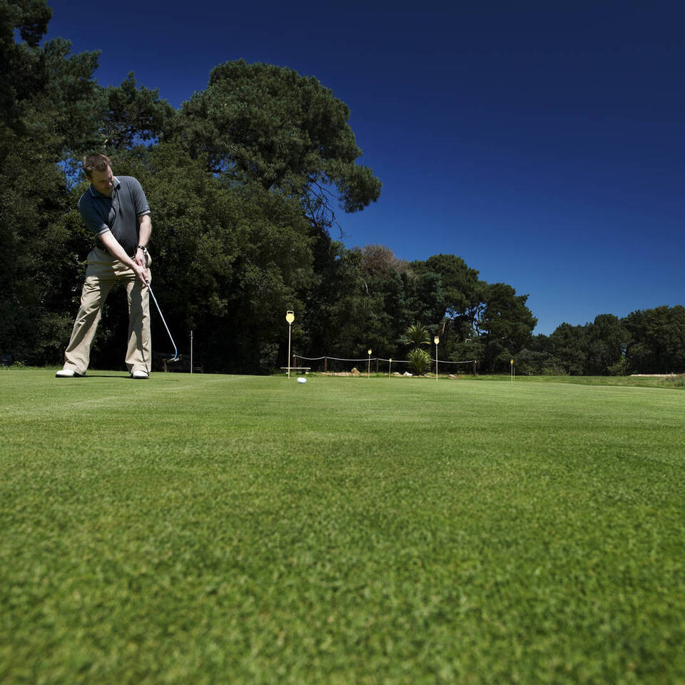 Golf Lessons Image